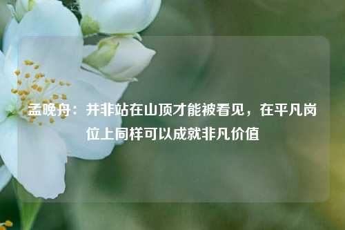 孟晚舟：并非站在山顶才能被看见，在平凡岗位上同样可以成就非凡价值-第1张图片-徐州汽车网