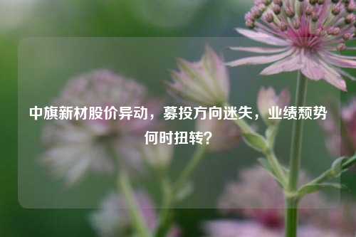 中旗新材股价异动，募投方向迷失，业绩颓势何时扭转？-第1张图片-徐州汽车网