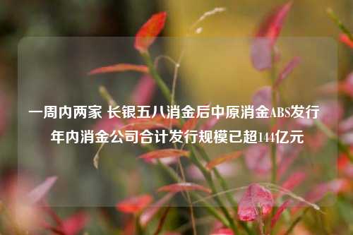 一周内两家 长银五八消金后中原消金ABS发行 年内消金公司合计发行规模已超144亿元-第1张图片-徐州汽车网