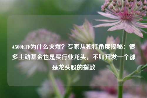 A500ETF为什么火爆？专家从独特角度揭秘：很多主动基金也是买行业龙头，不如开发一个都是龙头股的指数-第1张图片-徐州汽车网