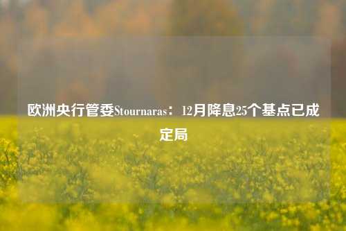 欧洲央行管委Stournaras：12月降息25个基点已成定局-第1张图片-徐州汽车网