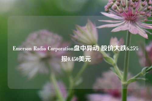 Emerson Radio Corporation盘中异动 股价大跌6.25%报0.450美元-第1张图片-徐州汽车网