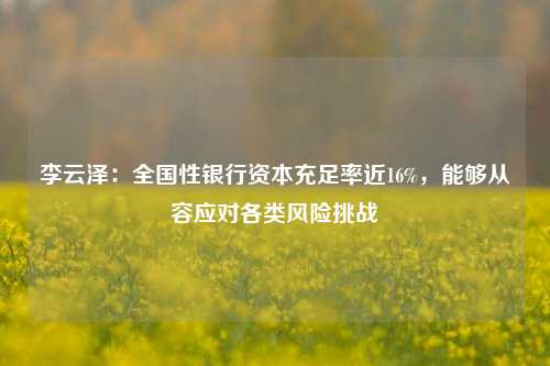 李云泽：全国性银行资本充足率近16%，能够从容应对各类风险挑战-第1张图片-徐州汽车网