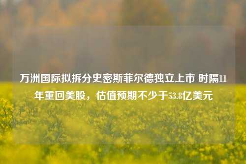 万洲国际拟拆分史密斯菲尔德独立上市 时隔11年重回美股，估值预期不少于53.8亿美元-第1张图片-徐州汽车网