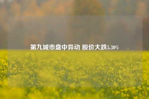 第九城市盘中异动 股价大跌5.30%-第1张图片-徐州汽车网