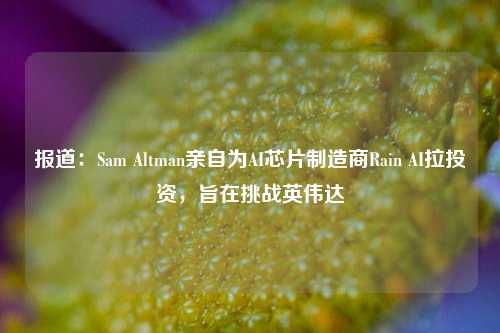 报道：Sam Altman亲自为AI芯片制造商Rain AI拉投资，旨在挑战英伟达-第1张图片-徐州汽车网