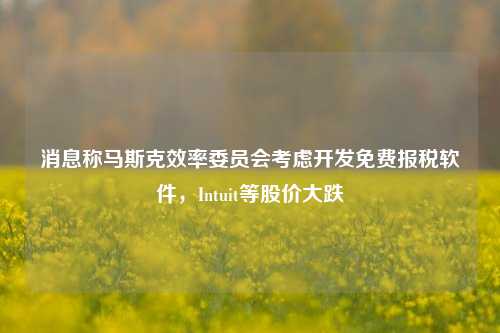 消息称马斯克效率委员会考虑开发免费报税软件，Intuit等股价大跌-第1张图片-徐州汽车网