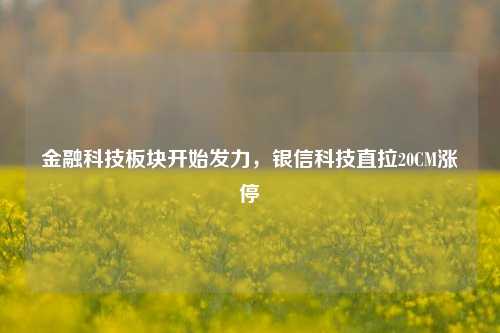 金融科技板块开始发力，银信科技直拉20CM涨停-第1张图片-徐州汽车网