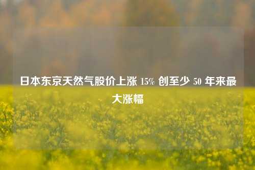 日本东京天然气股价上涨 15% 创至少 50 年来最大涨幅-第1张图片-徐州汽车网