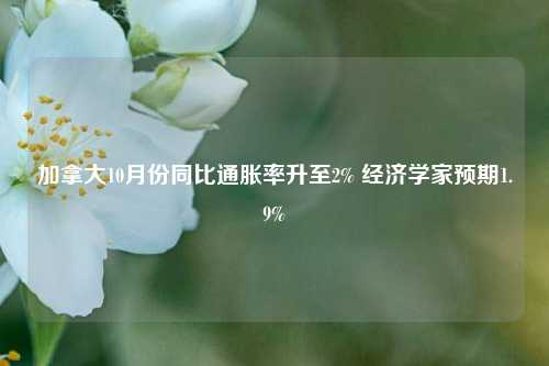 加拿大10月份同比通胀率升至2% 经济学家预期1.9%-第1张图片-徐州汽车网