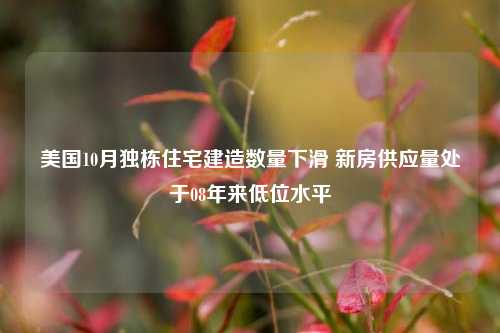 美国10月独栋住宅建造数量下滑 新房供应量处于08年来低位水平-第1张图片-徐州汽车网