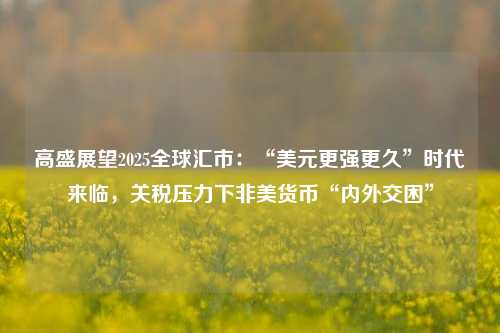 高盛展望2025全球汇市：“美元更强更久”时代来临，关税压力下非美货币“内外交困”-第1张图片-徐州汽车网