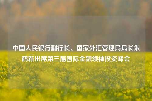 中国人民银行副行长、国家外汇管理局局长朱鹤新出席第三届国际金融领袖投资峰会-第1张图片-徐州汽车网