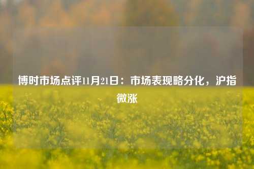 博时市场点评11月21日：市场表现略分化，沪指微涨-第1张图片-徐州汽车网