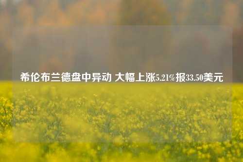 希伦布兰德盘中异动 大幅上涨5.21%报33.50美元-第1张图片-徐州汽车网