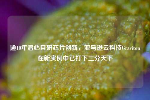 逾10年潜心自研芯片创新，亚马逊云科技Graviton在新实例中已打下三分天下-第1张图片-徐州汽车网