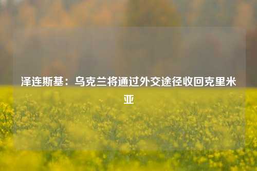 泽连斯基：乌克兰将通过外交途径收回克里米亚-第1张图片-徐州汽车网