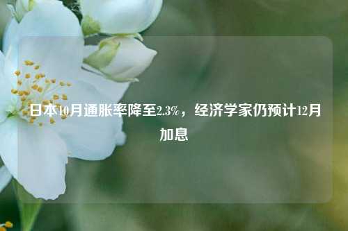 日本10月通胀率降至2.3%，经济学家仍预计12月加息-第1张图片-徐州汽车网