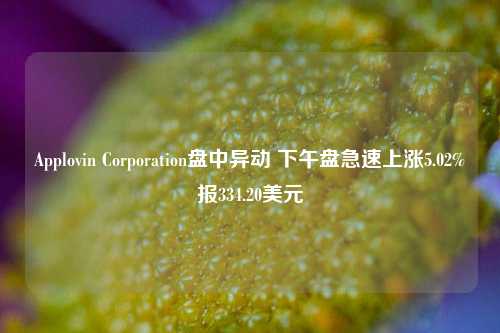 Applovin Corporation盘中异动 下午盘急速上涨5.02%报334.20美元-第1张图片-徐州汽车网