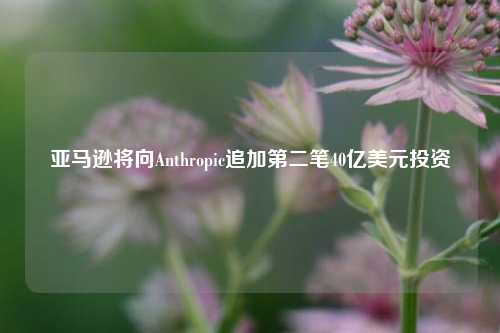 亚马逊将向Anthropic追加第二笔40亿美元投资-第1张图片-徐州汽车网