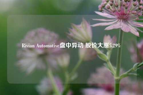 Rivian Automotive盘中异动 股价大涨5.29%-第1张图片-徐州汽车网