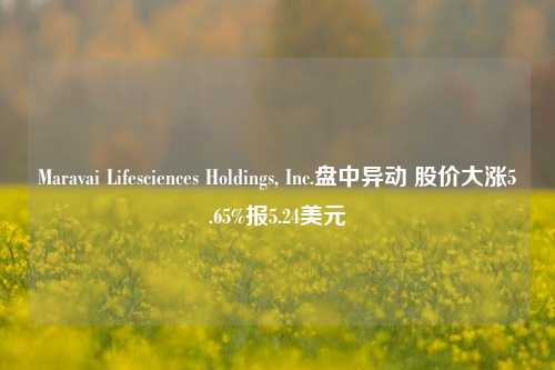 Maravai Lifesciences Holdings, Inc.盘中异动 股价大涨5.65%报5.24美元-第1张图片-徐州汽车网