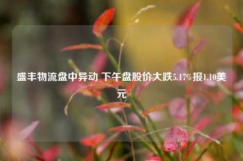 盛丰物流盘中异动 下午盘股价大跌5.17%报1.10美元-第1张图片-徐州汽车网