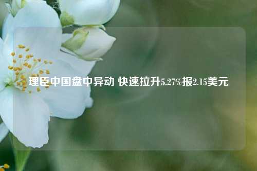 理臣中国盘中异动 快速拉升5.27%报2.15美元-第1张图片-徐州汽车网