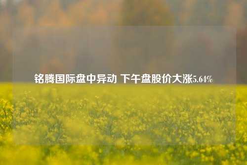 铭腾国际盘中异动 下午盘股价大涨5.64%-第1张图片-徐州汽车网