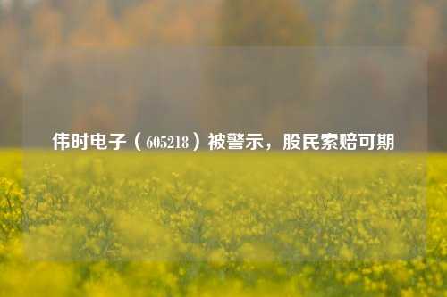 伟时电子（605218）被警示，股民索赔可期-第1张图片-徐州汽车网