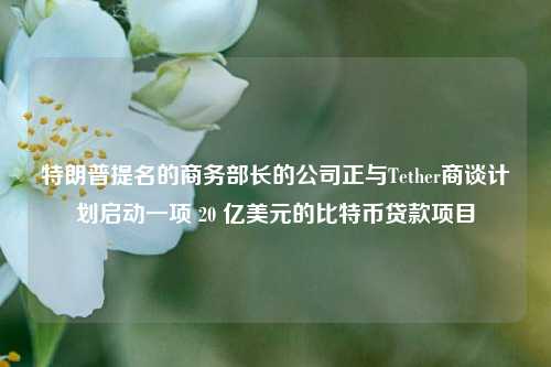 特朗普提名的商务部长的公司正与Tether商谈计划启动一项 20 亿美元的比特币贷款项目-第1张图片-徐州汽车网