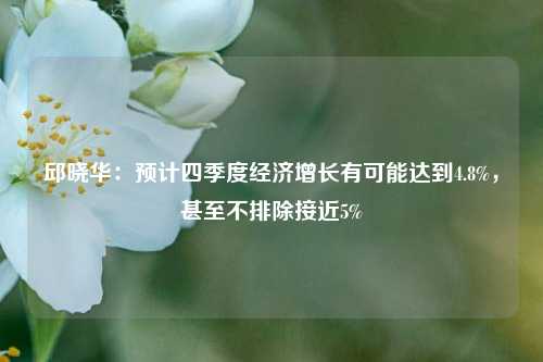 邱晓华：预计四季度经济增长有可能达到4.8%，甚至不排除接近5%-第1张图片-徐州汽车网