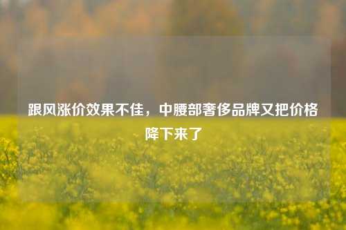 跟风涨价效果不佳，中腰部奢侈品牌又把价格降下来了-第1张图片-徐州汽车网