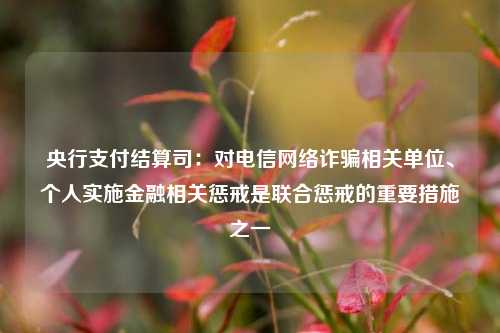 央行支付结算司：对电信网络诈骗相关单位、个人实施金融相关惩戒是联合惩戒的重要措施之一-第1张图片-徐州汽车网