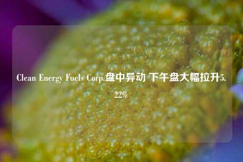 Clean Energy Fuels Corp.盘中异动 下午盘大幅拉升5.22%-第1张图片-徐州汽车网