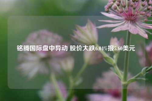 铭腾国际盘中异动 股价大跌6.04%报5.60美元-第1张图片-徐州汽车网