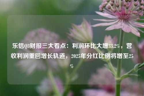 乐信Q3财报三大看点：利润环比大增33.2%，营收利润重回增长轨道，2025年分红比例将增至25%-第1张图片-徐州汽车网