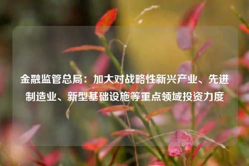 金融监管总局：加大对战略性新兴产业、先进制造业、新型基础设施等重点领域投资力度-第1张图片-徐州汽车网