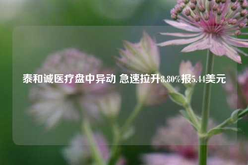 泰和诚医疗盘中异动 急速拉升8.80%报5.44美元-第1张图片-徐州汽车网