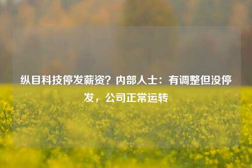 纵目科技停发薪资？内部人士：有调整但没停发，公司正常运转-第1张图片-徐州汽车网