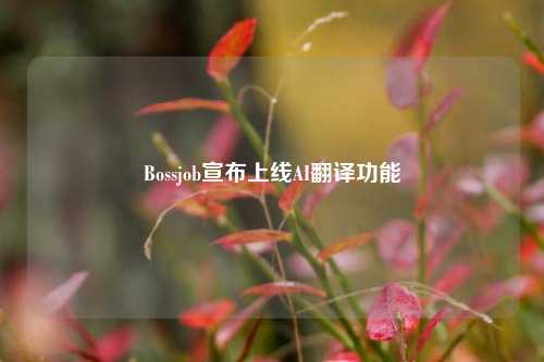 Bossjob宣布上线AI翻译功能-第1张图片-徐州汽车网