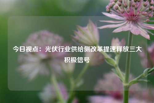 今日视点：光伏行业供给侧改革提速释放三大积极信号-第1张图片-徐州汽车网