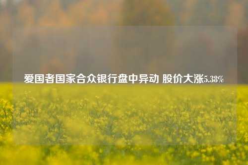 爱国者国家合众银行盘中异动 股价大涨5.38%-第1张图片-徐州汽车网