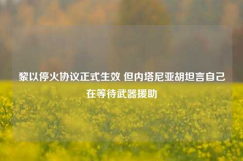 黎以停火协议正式生效 但内塔尼亚胡坦言自己在等待武器援助-第1张图片-徐州汽车网