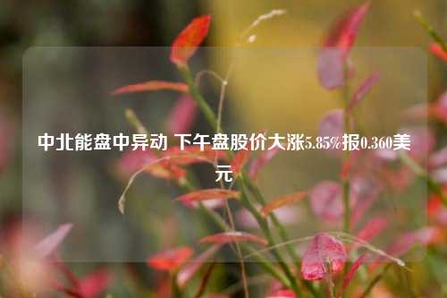 中北能盘中异动 下午盘股价大涨5.85%报0.360美元-第1张图片-徐州汽车网