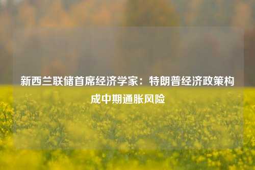 新西兰联储首席经济学家：特朗普经济政策构成中期通胀风险-第1张图片-徐州汽车网