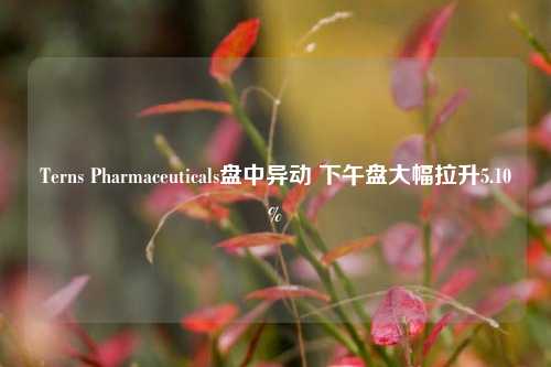 Terns Pharmaceuticals盘中异动 下午盘大幅拉升5.10%-第1张图片-徐州汽车网