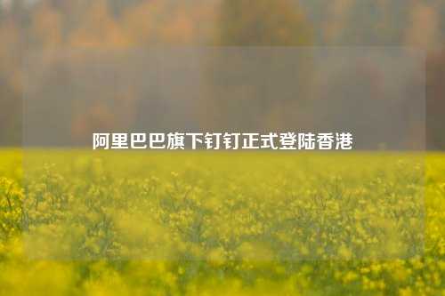 阿里巴巴旗下钉钉正式登陆香港-第1张图片-徐州汽车网