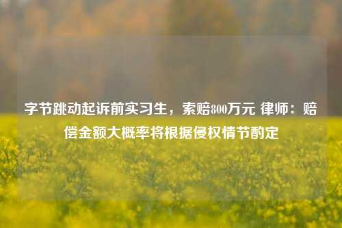 字节跳动起诉前实习生，索赔800万元 律师：赔偿金额大概率将根据侵权情节酌定-第1张图片-徐州汽车网