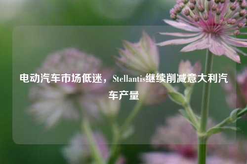 电动汽车市场低迷，Stellantis继续削减意大利汽车产量-第1张图片-徐州汽车网